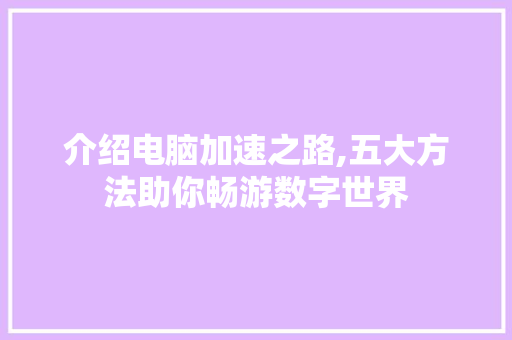 介绍电脑加速之路,五大方法助你畅游数字世界