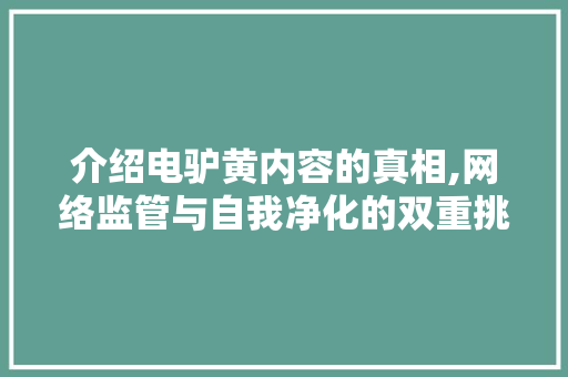 介绍电驴黄内容的真相,网络监管与自我净化的双重挑战