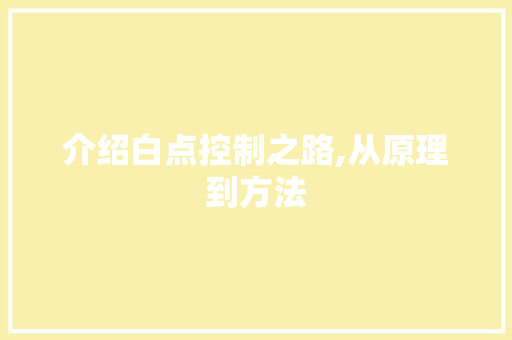 介绍白点控制之路,从原理到方法