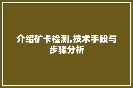 介绍矿卡检测,技术手段与步骤分析