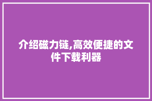 介绍磁力链,高效便捷的文件下载利器