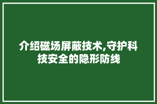 介绍磁场屏蔽技术,守护科技安全的隐形防线