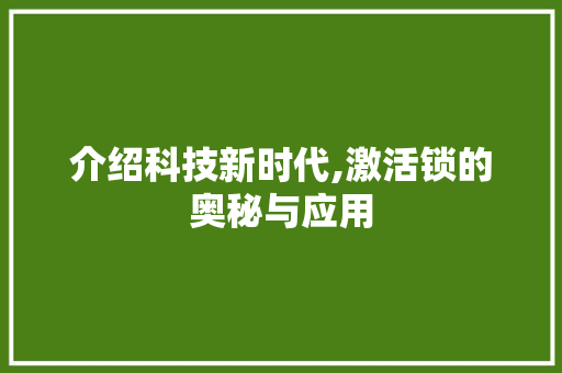 介绍科技新时代,激活锁的奥秘与应用