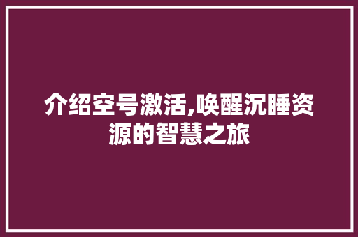介绍空号激活,唤醒沉睡资源的智慧之旅