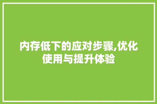 内存低下的应对步骤,优化使用与提升体验