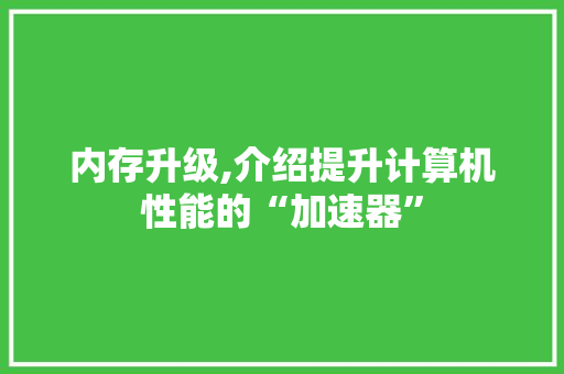 内存升级,介绍提升计算机性能的“加速器”