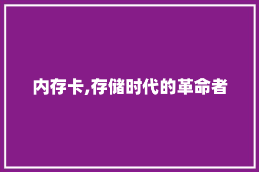 内存卡,存储时代的革命者