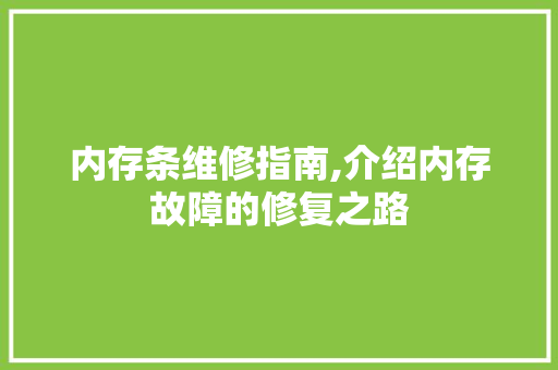 内存条维修指南,介绍内存故障的修复之路