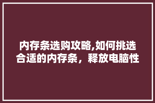 内存条选购攻略,如何挑选合适的内存条，释放电脑性能的潜能
