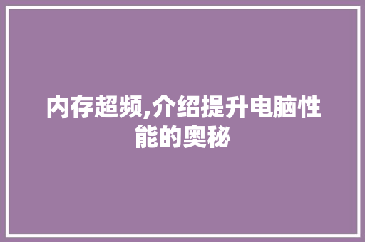 内存超频,介绍提升电脑性能的奥秘