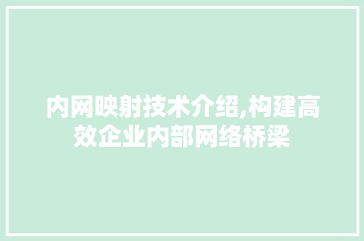 内网映射技术介绍,构建高效企业内部网络桥梁