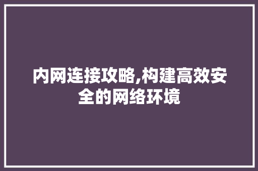 内网连接攻略,构建高效安全的网络环境