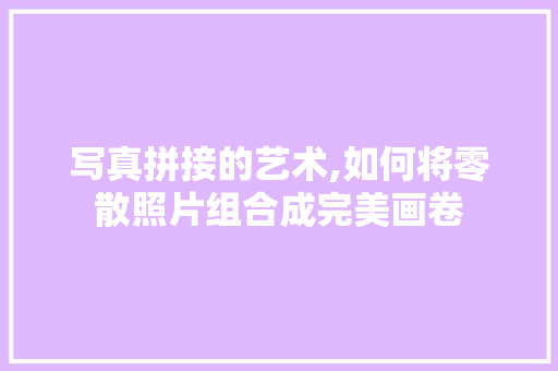 写真拼接的艺术,如何将零散照片组合成完美画卷
