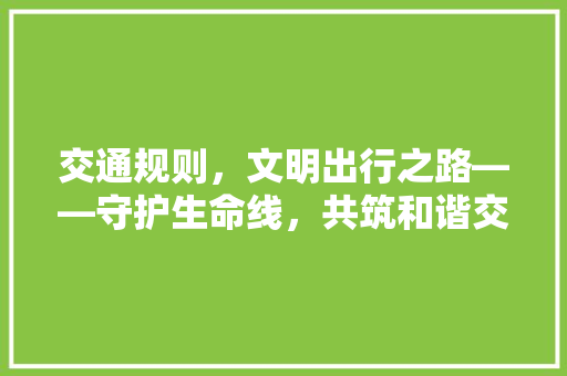 交通规则，文明出行之路——守护生命线，共筑和谐交通