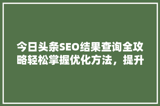 今日头条SEO结果查询全攻略轻松掌握优化方法，提升内容排名