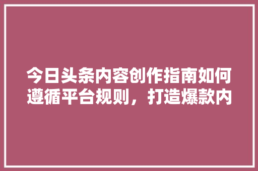 今日头条内容创作指南如何遵循平台规则，打造爆款内容