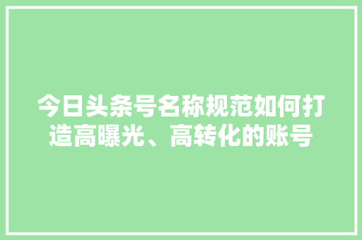 今日头条号名称规范如何打造高曝光、高转化的账号