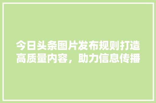 今日头条图片发布规则打造高质量内容，助力信息传播