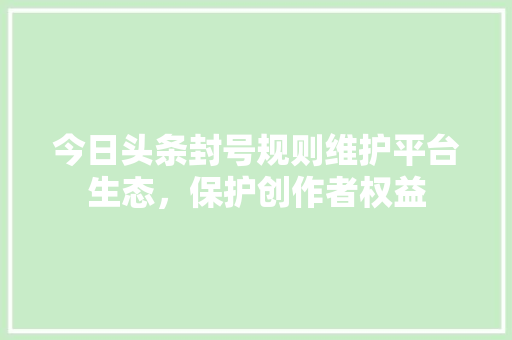 今日头条封号规则维护平台生态，保护创作者权益