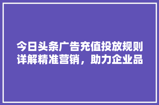 今日头条广告充值投放规则详解精准营销，助力企业品牌腾飞