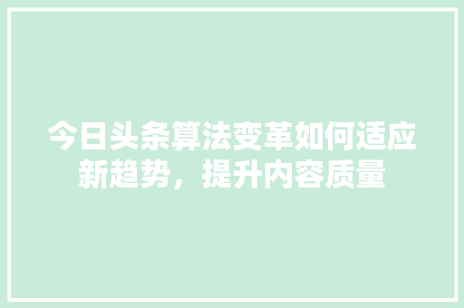 今日头条算法变革如何适应新趋势，提升内容质量