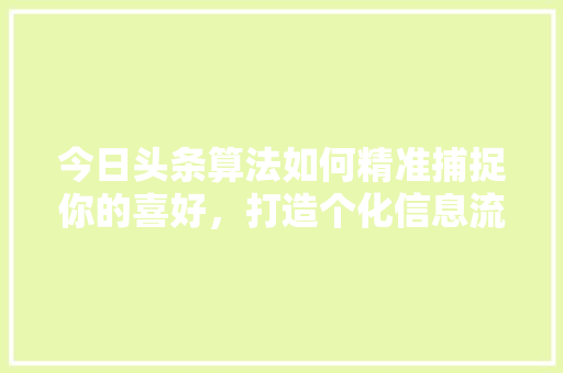 今日头条算法如何精准捕捉你的喜好，打造个化信息流