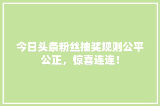 今日头条粉丝抽奖规则公平公正，惊喜连连！