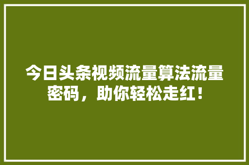 今日头条视频流量算法流量密码，助你轻松走红！