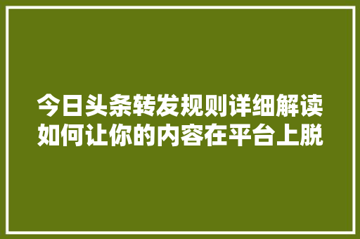 今日头条转发规则详细解读如何让你的内容在平台上脱颖而出