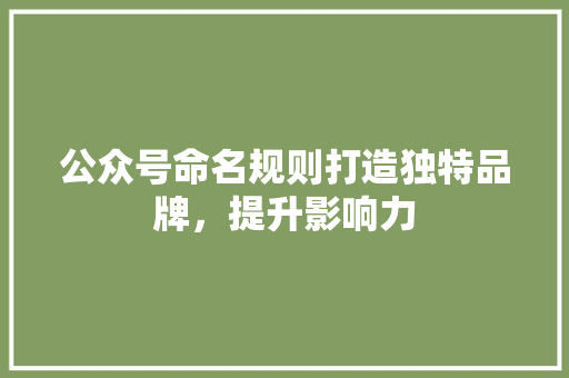 公众号命名规则打造独特品牌，提升影响力