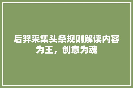 后羿采集头条规则解读内容为王，创意为魂