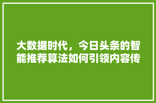 大数据时代，今日头条的智能推荐算法如何引领内容传播新潮流