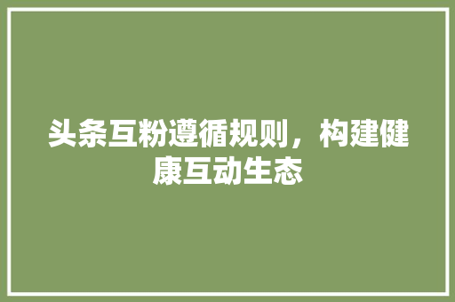 头条互粉遵循规则，构建健康互动生态