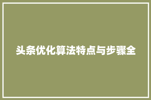 头条优化算法特点与步骤全