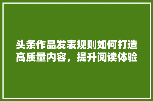 头条作品发表规则如何打造高质量内容，提升阅读体验