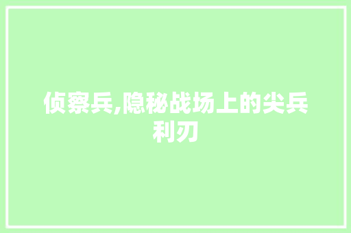 侦察兵,隐秘战场上的尖兵利刃