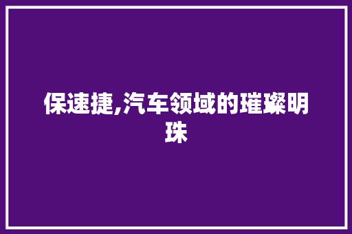 保速捷,汽车领域的璀璨明珠
