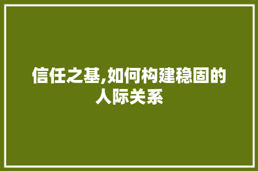 信任之基,如何构建稳固的人际关系