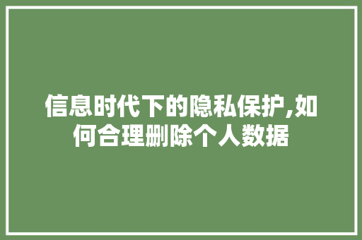 信息时代下的隐私保护,如何合理删除个人数据
