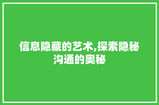 信息隐藏的艺术,探索隐秘沟通的奥秘