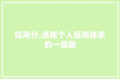 信用分,透视个人信用体系的一扇窗