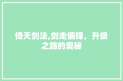 倚天剑法,剑走偏锋，升级之路的奥秘