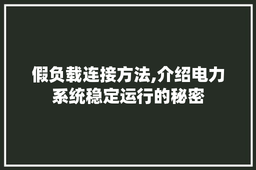 假负载连接方法,介绍电力系统稳定运行的秘密