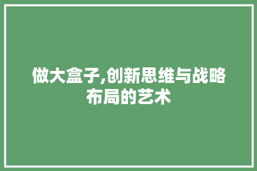 做大盒子,创新思维与战略布局的艺术