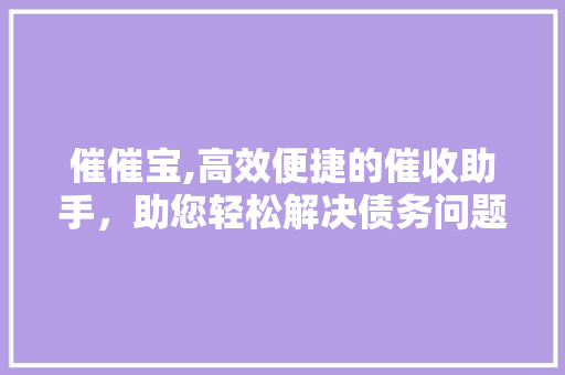 催催宝,高效便捷的催收助手，助您轻松解决债务问题