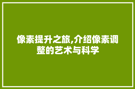 像素提升之旅,介绍像素调整的艺术与科学