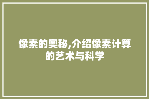 像素的奥秘,介绍像素计算的艺术与科学