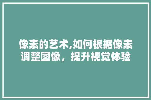 像素的艺术,如何根据像素调整图像，提升视觉体验