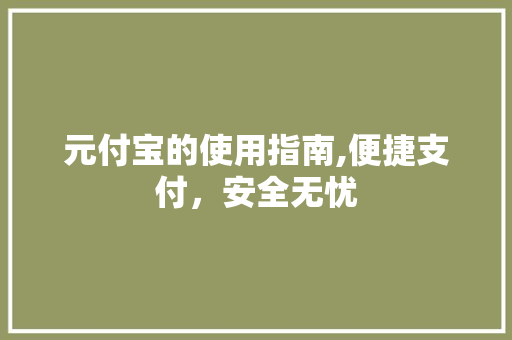 元付宝的使用指南,便捷支付，安全无忧