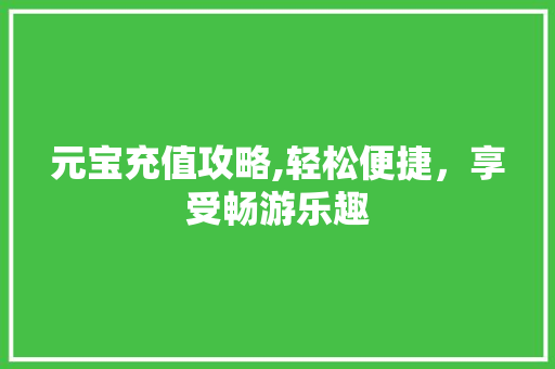 元宝充值攻略,轻松便捷，享受畅游乐趣